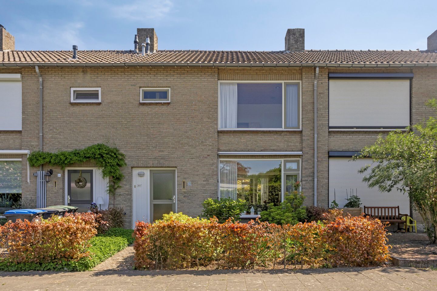 Foto 1 van de Lathyrus 22