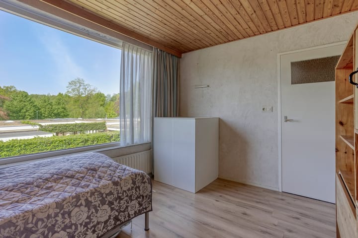 Foto 15 van de Lathyrus 22