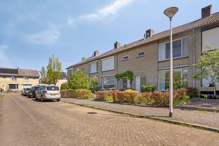 Foto 22 van de Lathyrus 22