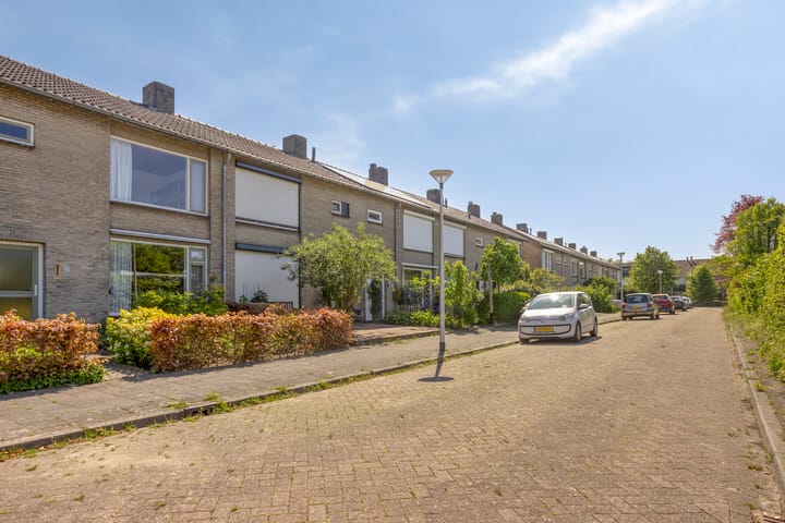 Foto 23 van de Lathyrus 22