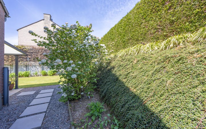 Foto 45 van Napoleonstraat 49-C