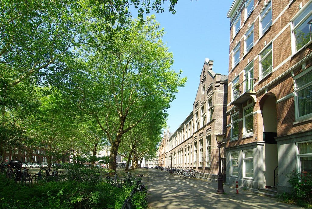 Foto 1 van Van Oldenbarneveldtplein 8-3