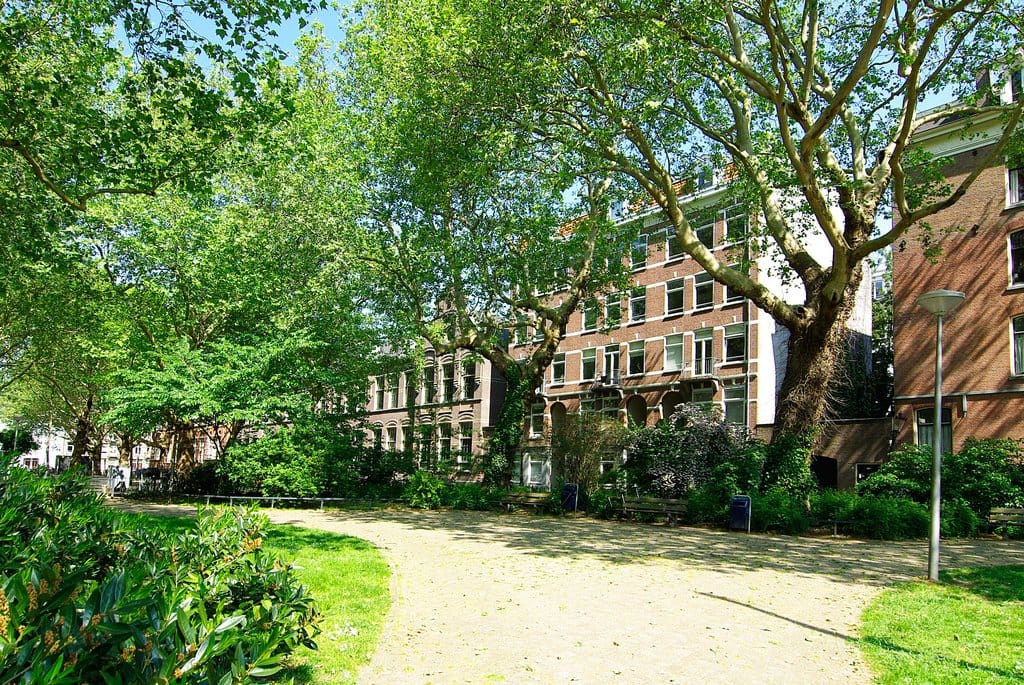 Foto 19 van Van Oldenbarneveldtplein 8-3