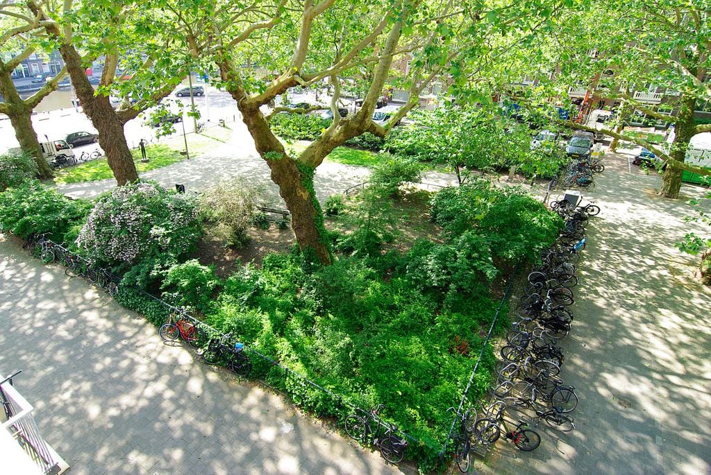 Foto 21 van Van Oldenbarneveldtplein 8-3