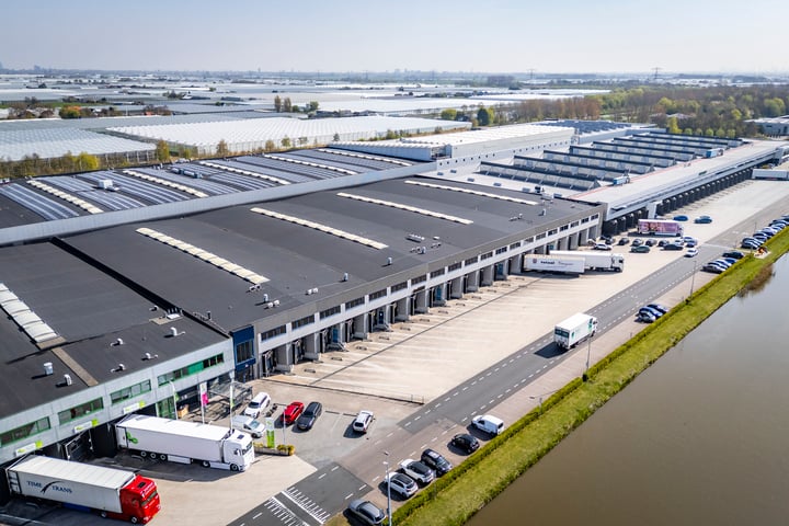 Venus 333, Honselersdijk