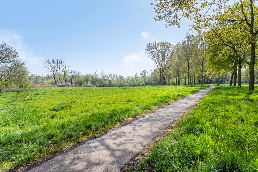 Photo 38 of Livornostraat 43