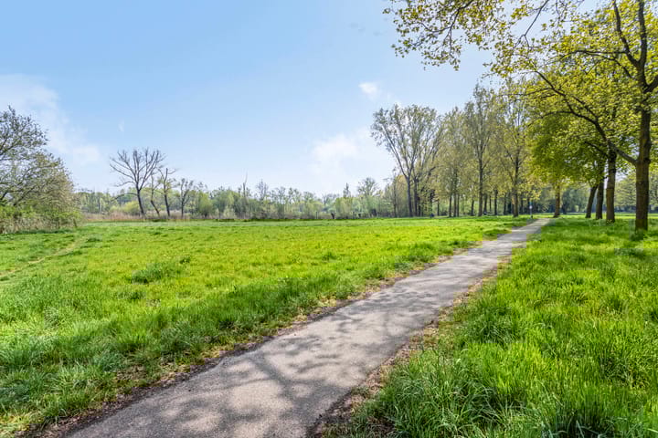 Foto 38 van Livornostraat 43