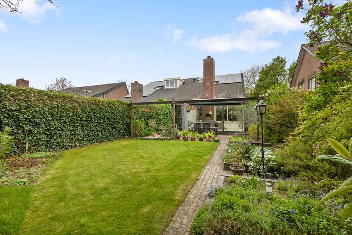 Foto 3 van Wildzang 5