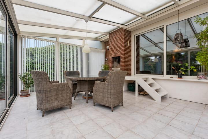 Photo 12 of Wildzang 5