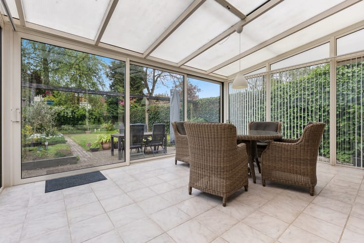 Photo 13 of Wildzang 5