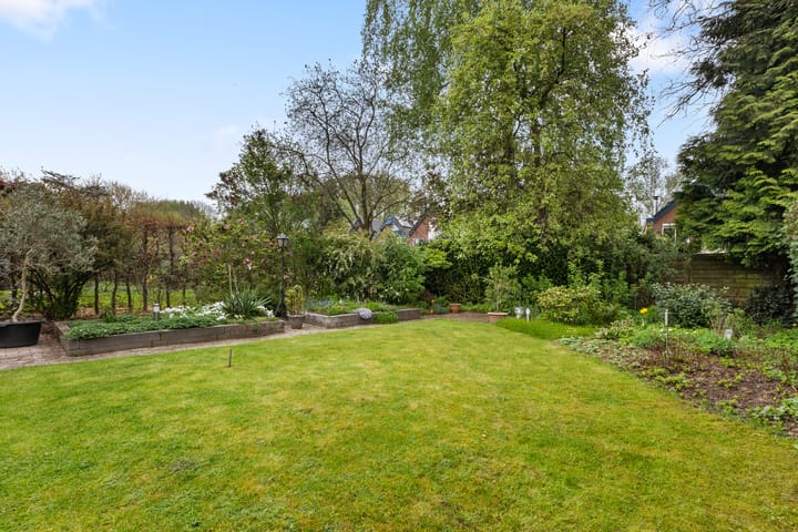 Photo 15 of Wildzang 5