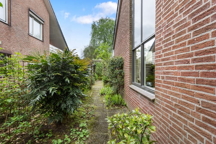 Photo 17 of Wildzang 5