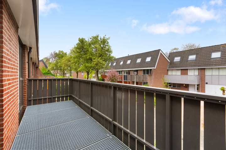 Photo 22 of Wildzang 5