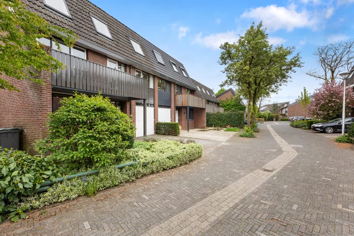 Photo 33 of Wildzang 5