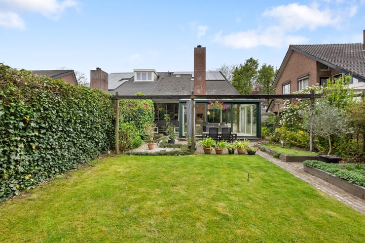 Photo 16 of Wildzang 5