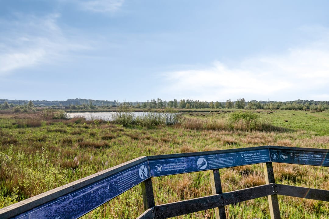 Foto 43 van Strandgaper 18