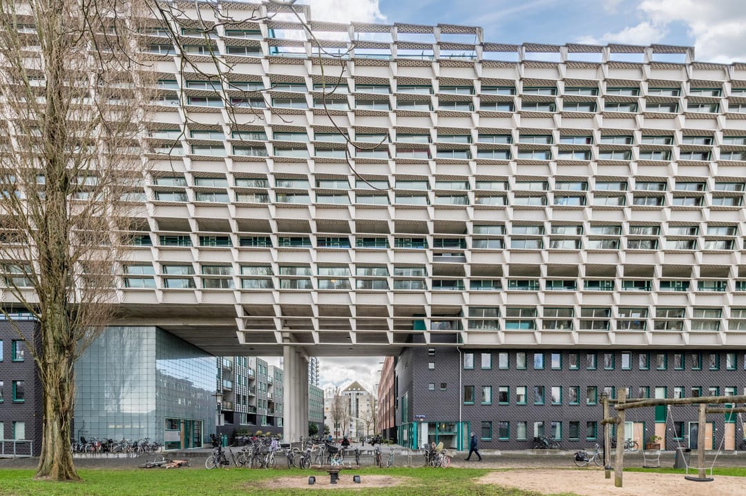 Foto 2 van Borneolaan 205