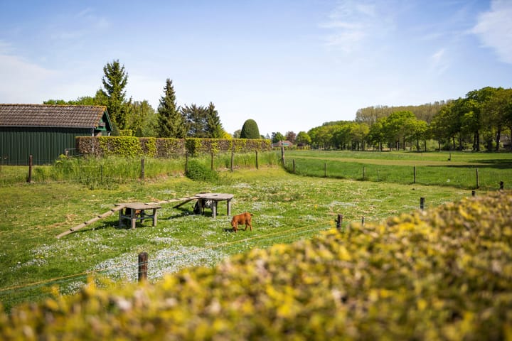 Foto 28 van Prins Bernhardlaan 7