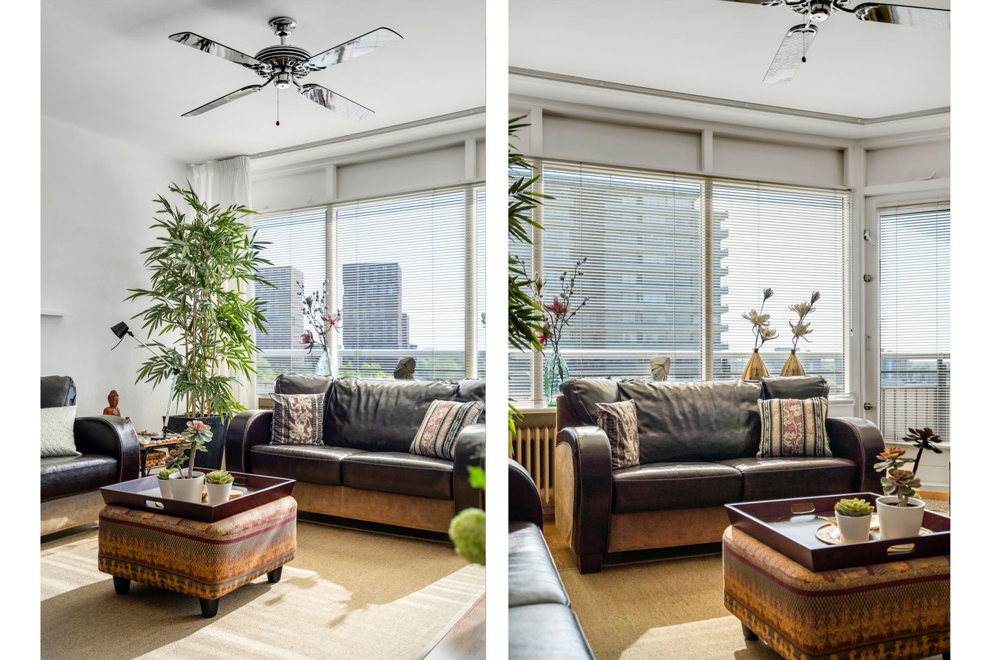 Foto 5 van Livingstonelaan 1138