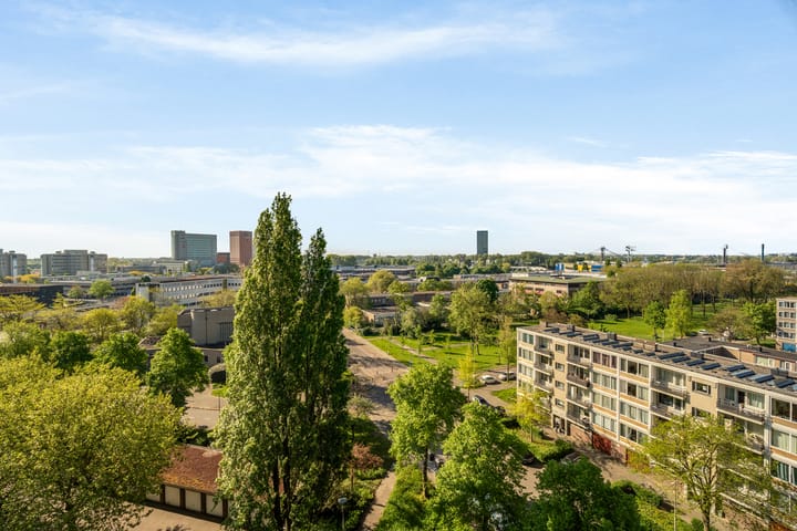 Foto 28 van Livingstonelaan 1138