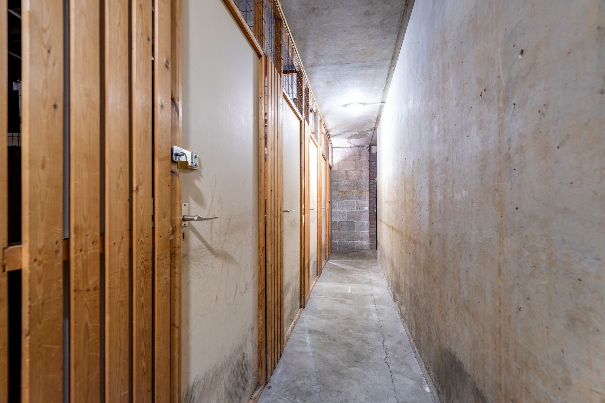 Foto 33 van Livingstonelaan 1138