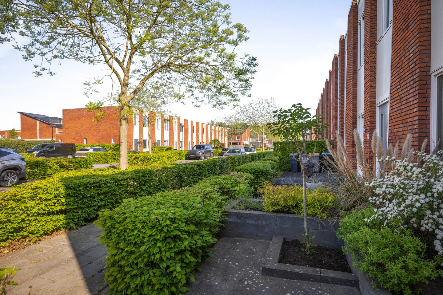 Foto 19 van Van der Willigenstraat 10