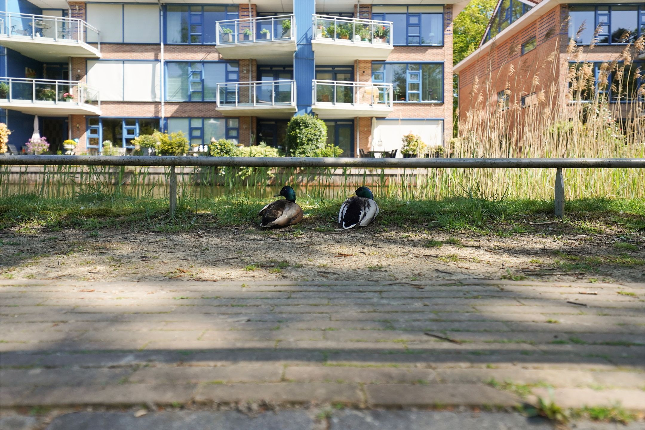 Photo 33 of Hendrik Munniklaan 18