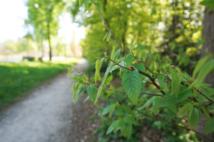 Foto 35 van Hendrik Munniklaan 18