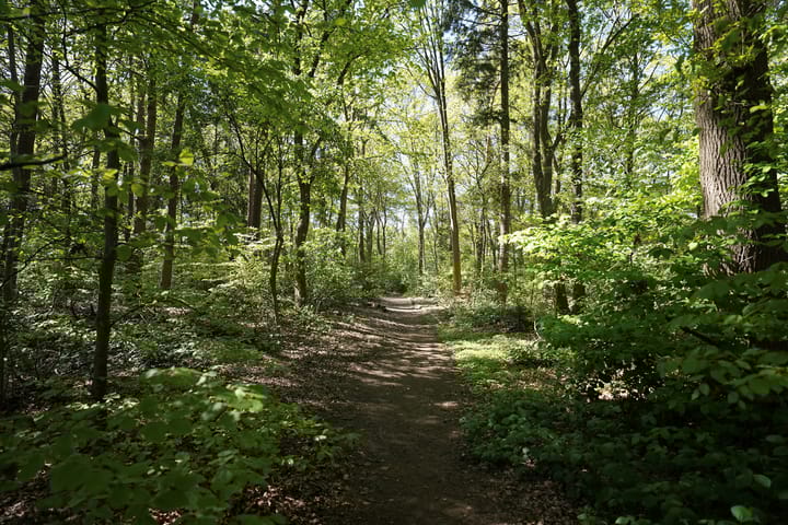 Foto 36 van Hendrik Munniklaan 18