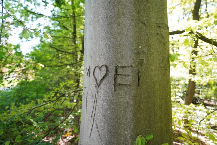 Foto 37 van Hendrik Munniklaan 18