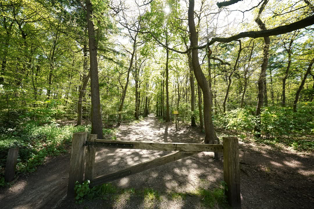 Photo 43 of Hendrik Munniklaan 18