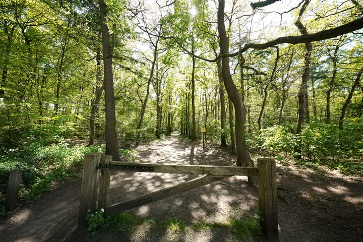 Foto 43 van Hendrik Munniklaan 18