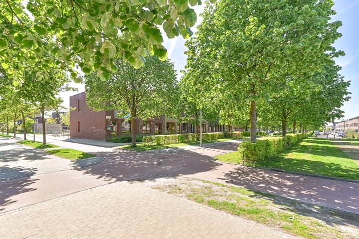 Foto 41 van Atalanta 12