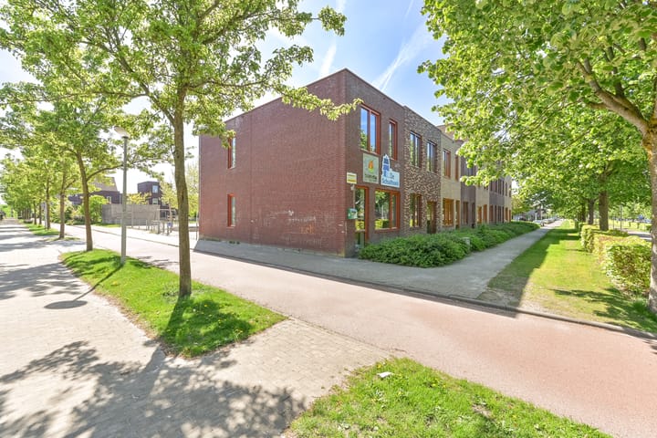 Foto 42 van Atalanta 12