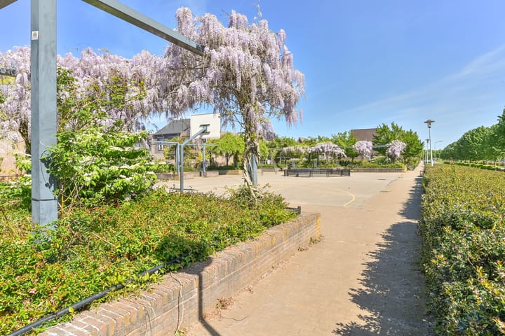 Foto 44 van Atalanta 12