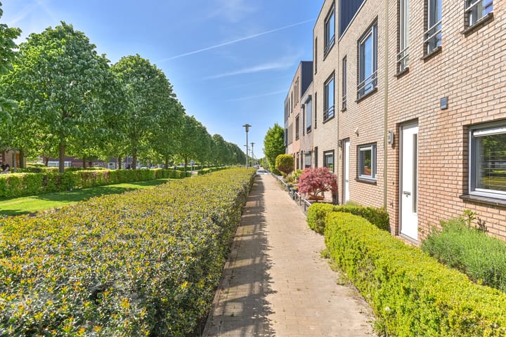 Foto 45 van Atalanta 12