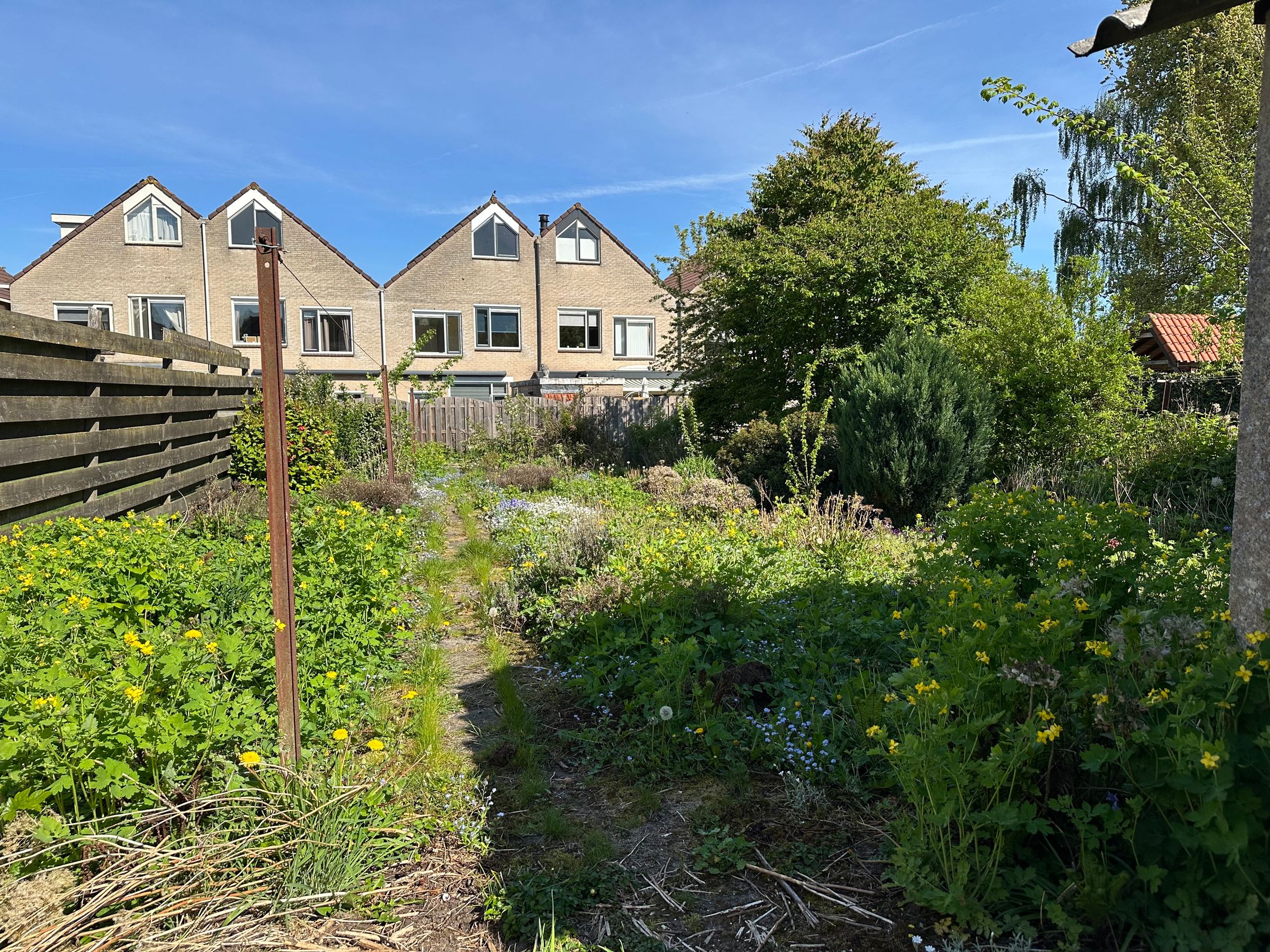 Foto 15 van Insingerstraat 38