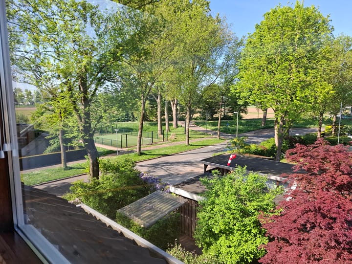 Foto 18 van Iepenlaan 31