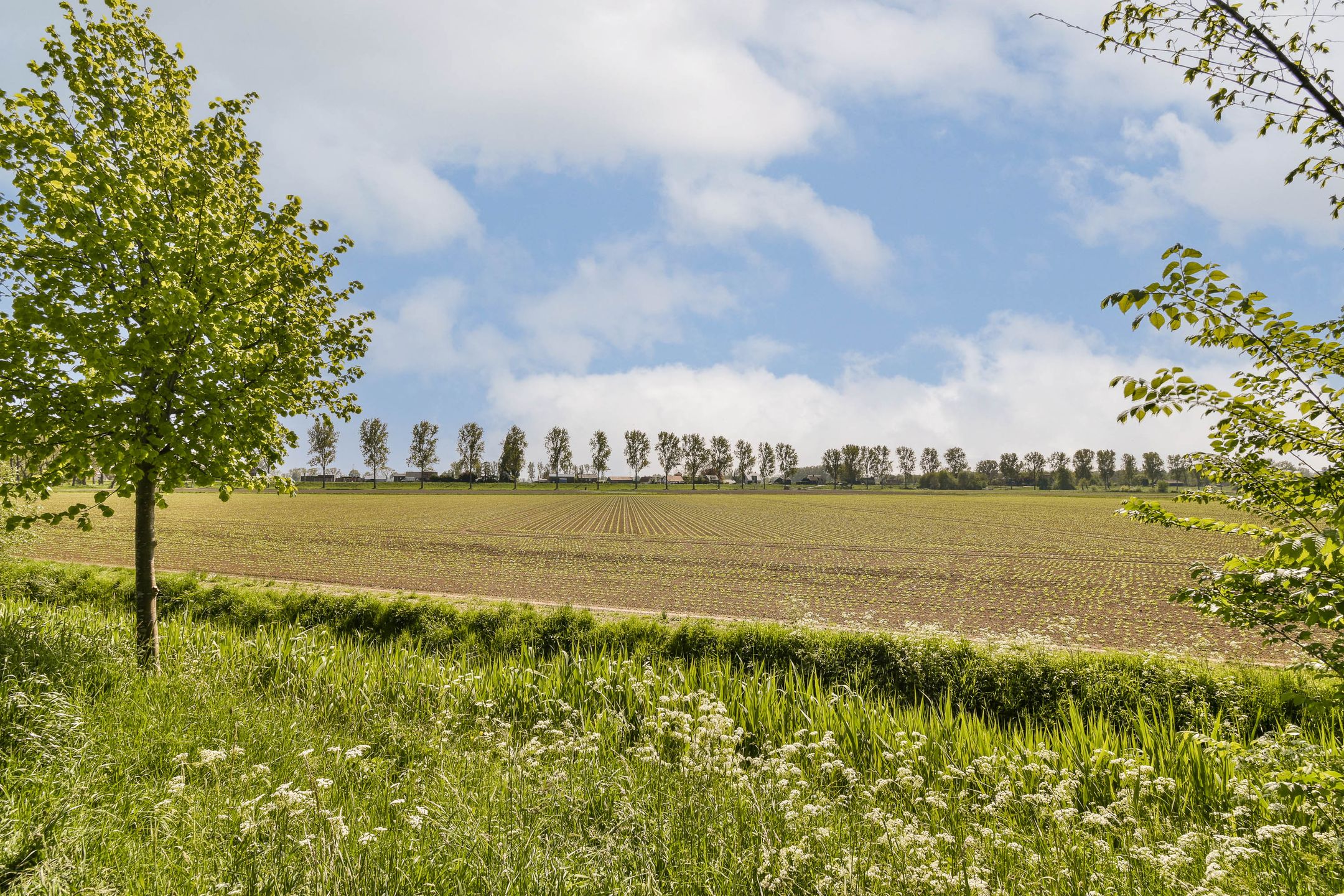 Foto 27 van Iepenlaan 31