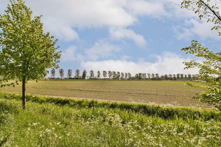 Foto 27 van Iepenlaan 31