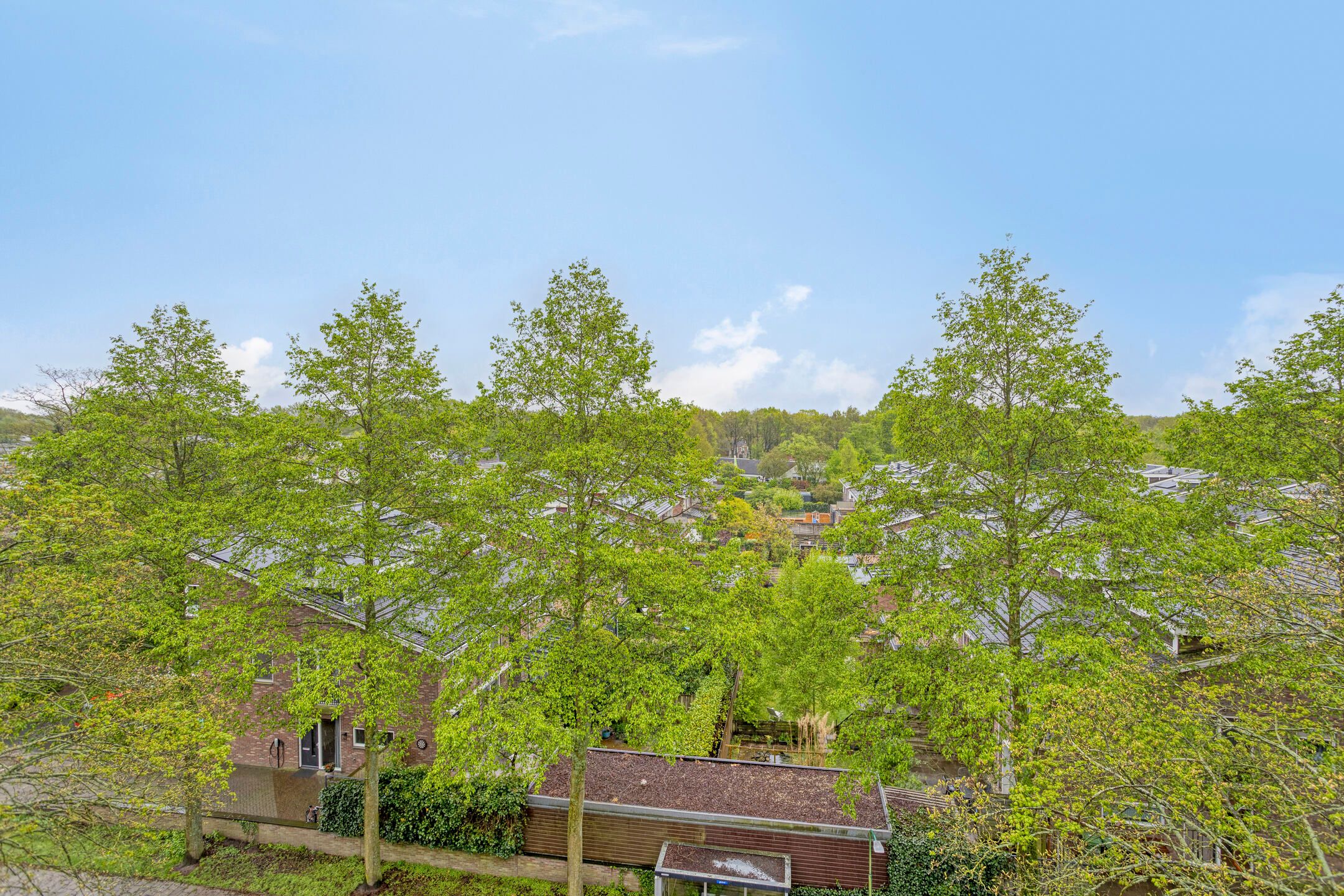 Foto 9 van Veenbesstraat 764