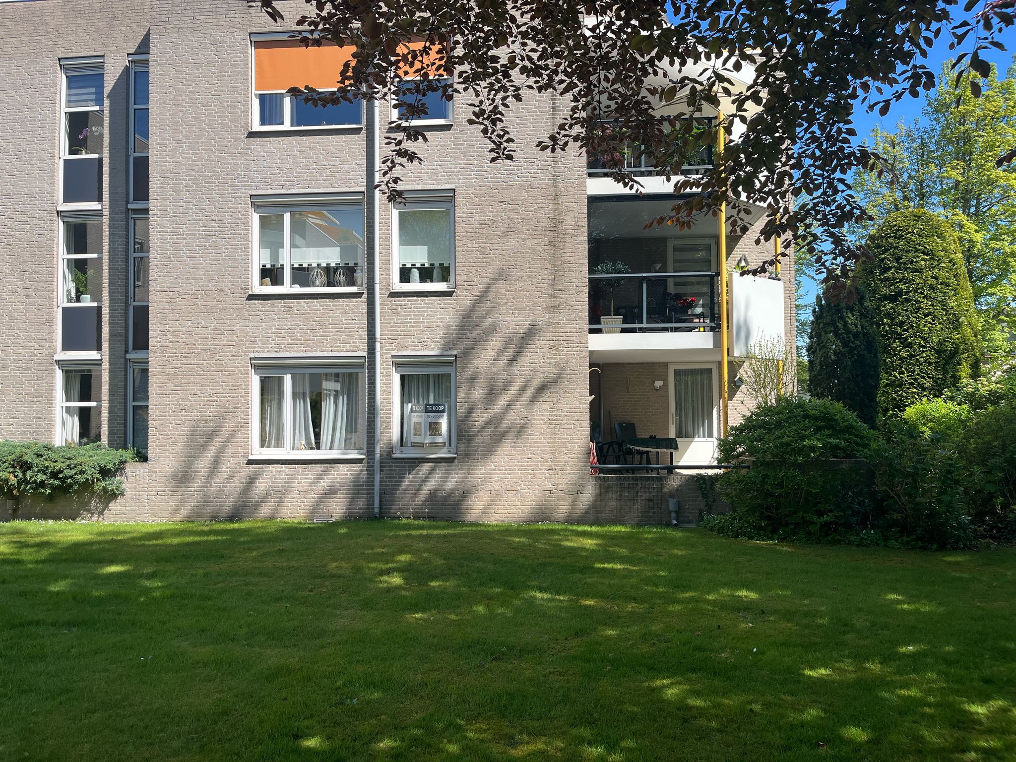 Photo 6 of Oranjehof 2