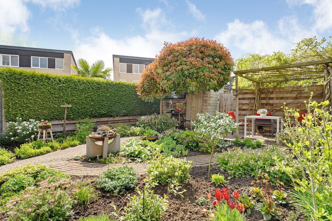 Foto 31 van Dreessingel 58