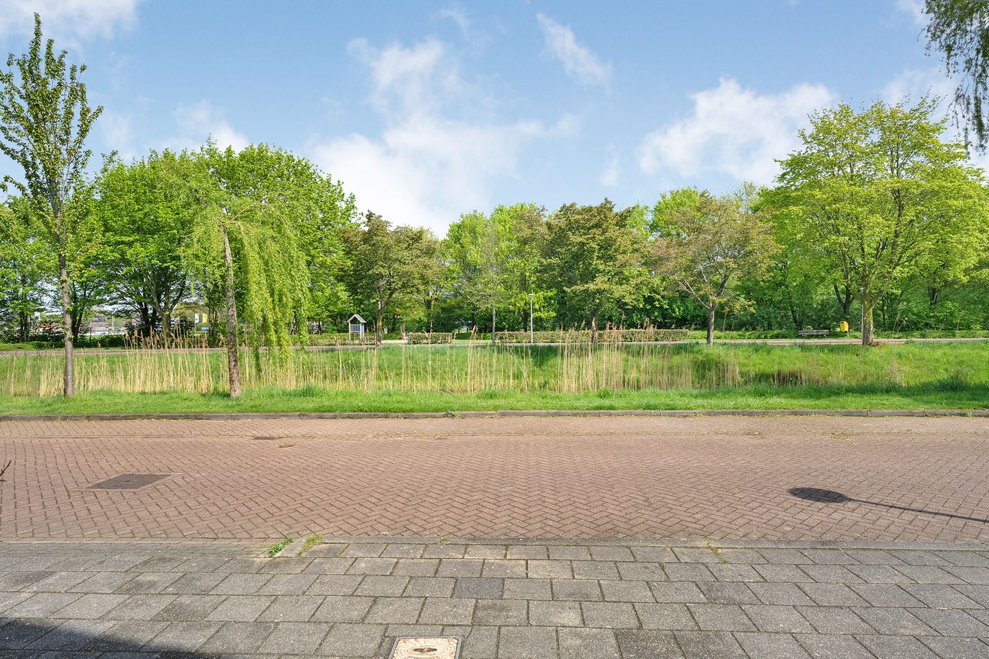 Foto 40 van Dreessingel 58