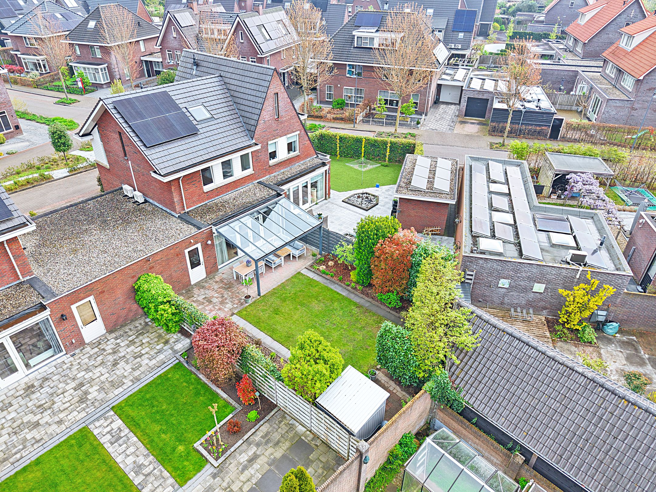 Foto 39 van Keizersmantel 4