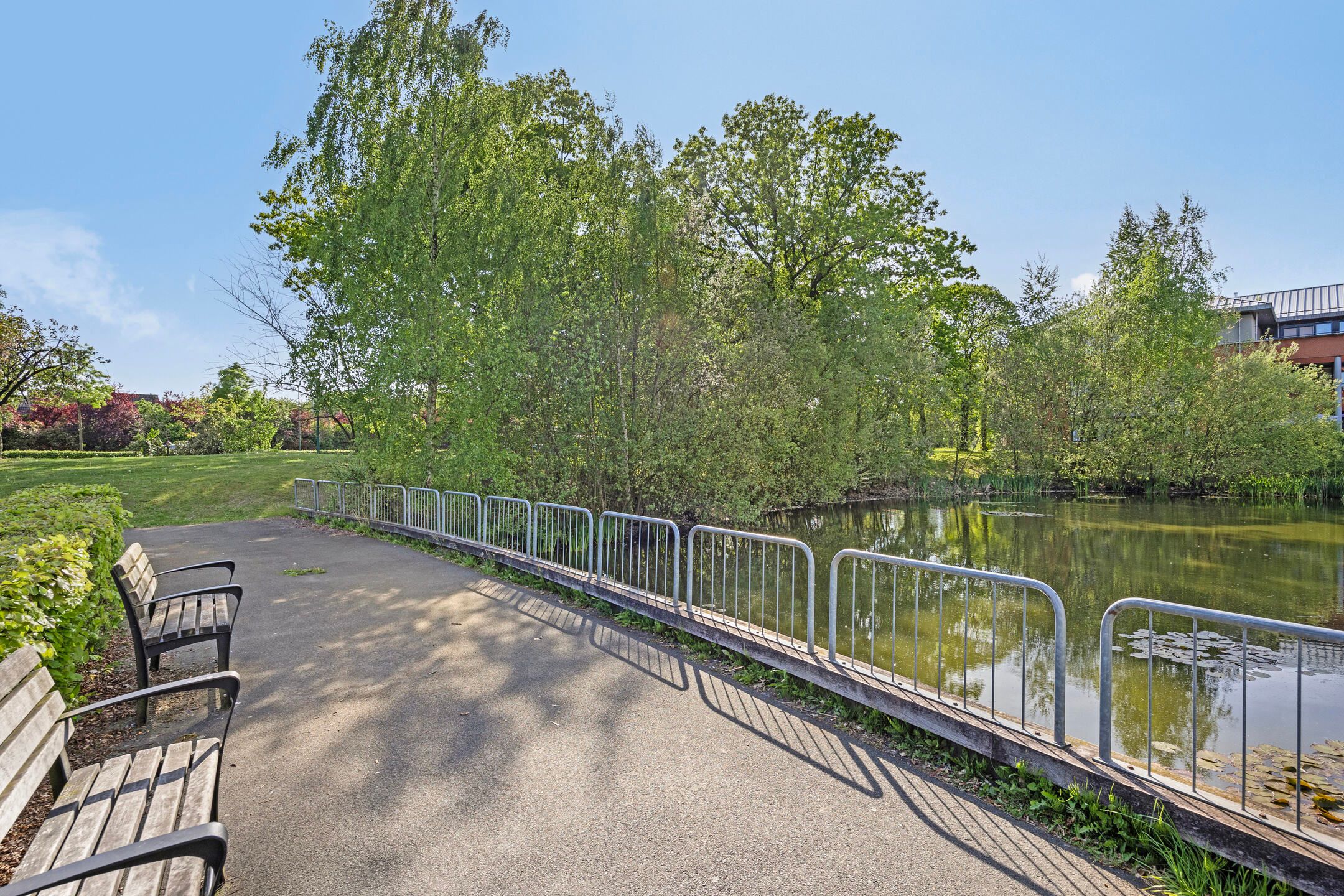 Foto 33 van Paukenlaan 75