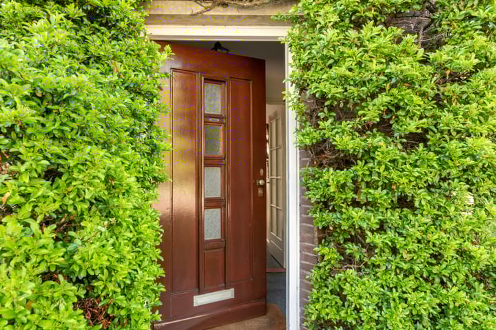 Foto 36 van Duinvlietstraat 6