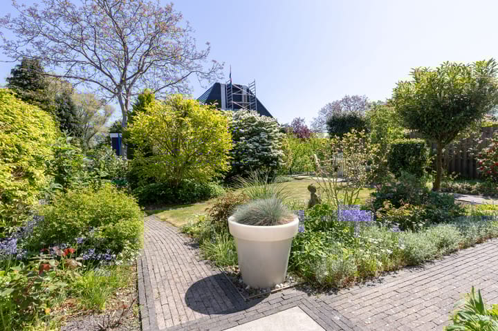 Foto 36 van Schapenweide 12