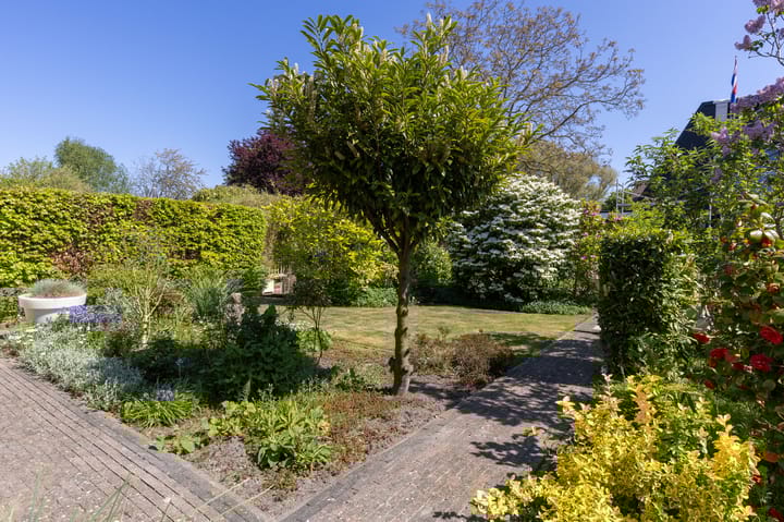 Foto 37 van Schapenweide 12