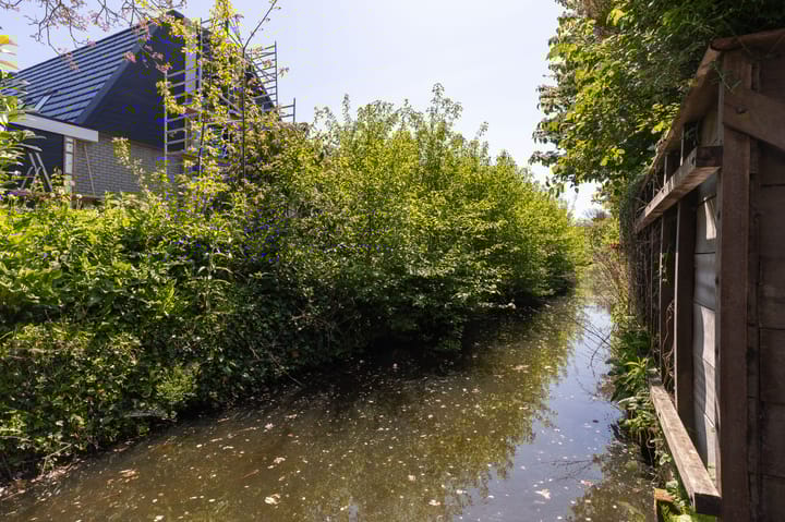 Foto 41 van Schapenweide 12